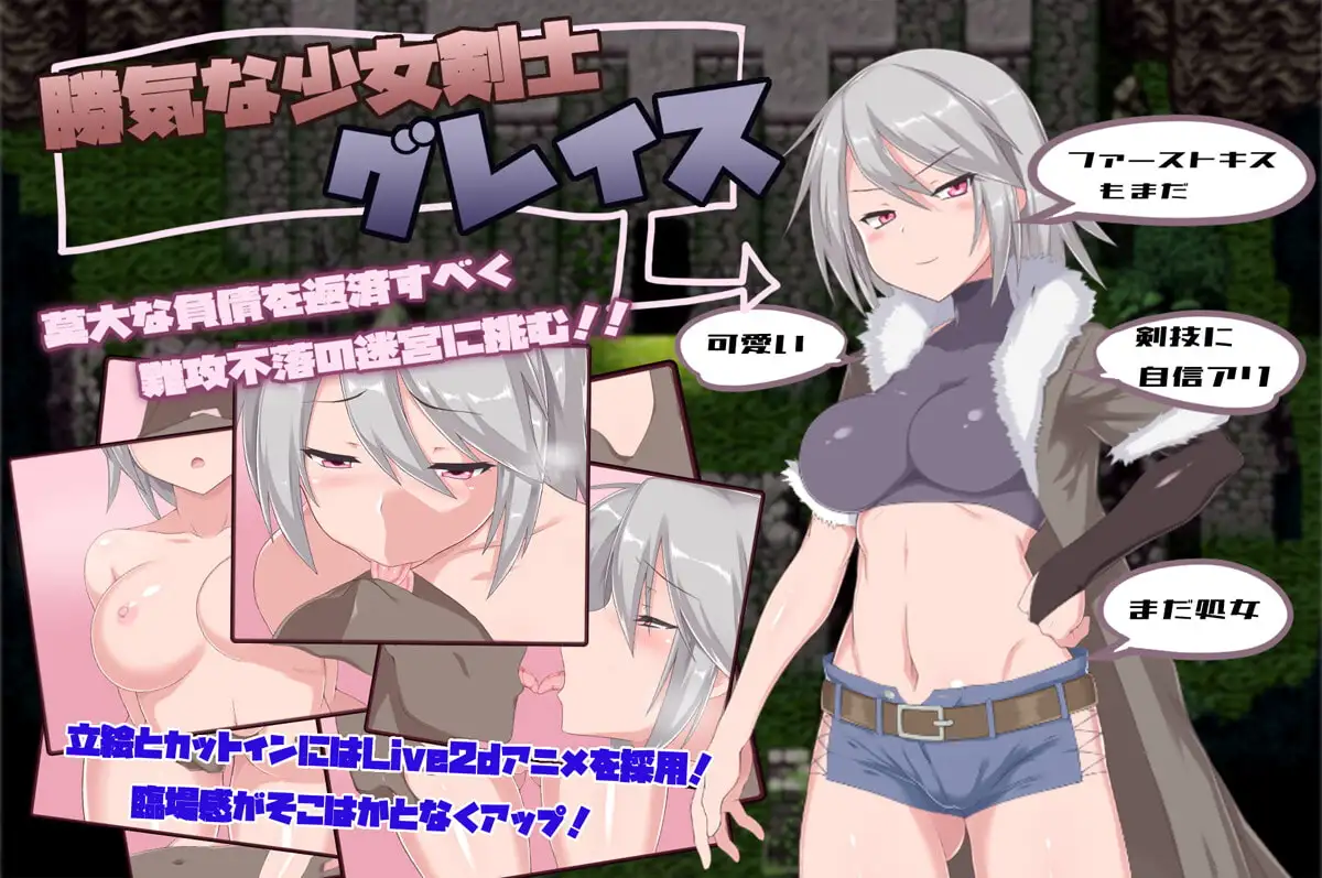[RPG/2D/亚洲]迷宫街的格蕾丝 迷宮街のグレイス v1.15 官方中文版[PC+安卓/2.65G]